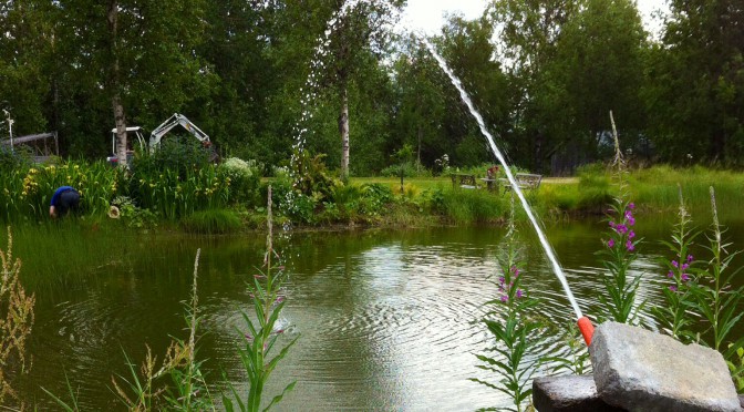 Konstgjord andning på fisken i vår damm…